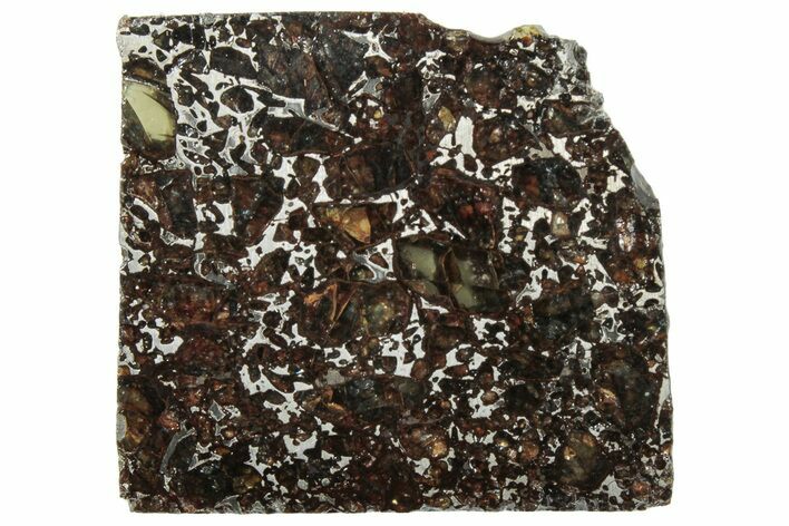 Polished Admire Pallasite Meteorite ( g) Slice - Kansas #307355